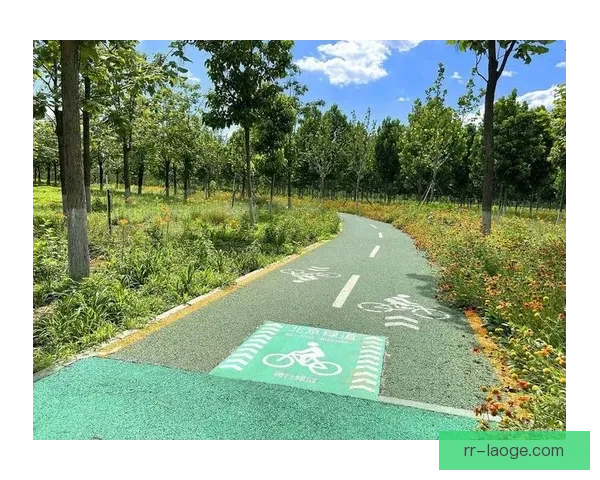 2026世界杯旧金山宣布建设球场周边绿色骑行车道推动低碳出行