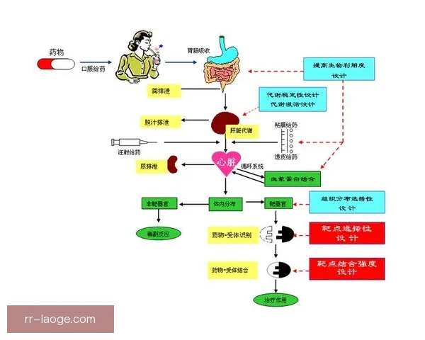 世界杯预选赛伤病管理进入关键期的赛后复盘与应对策略全面解析与风险控制